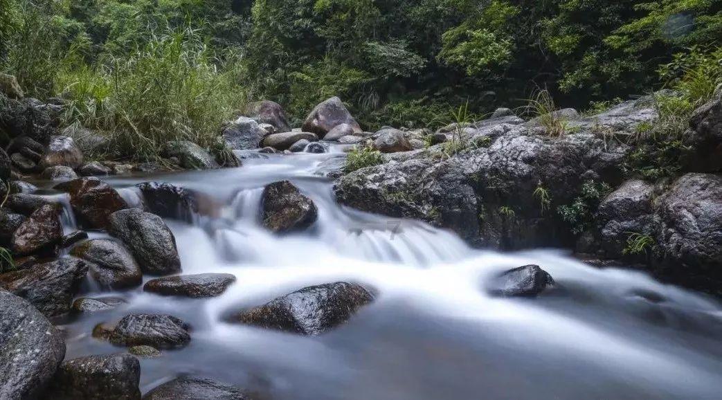 向宠受到诸葛亮和刘备的推崇，为什么不出名？游戏画面
